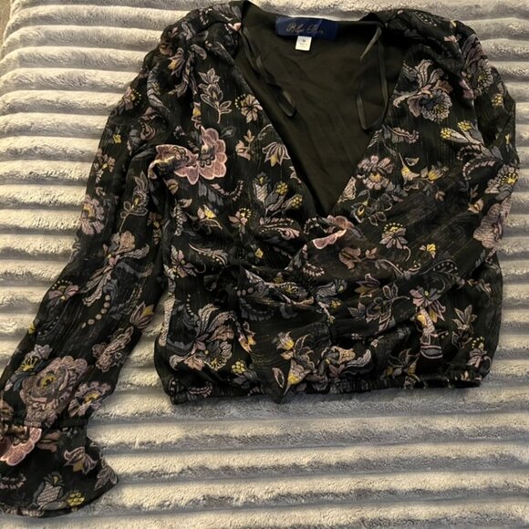 Blue Rair, long sleeve crop deep v-neck, size M; design patterned - Picture 1 of 1